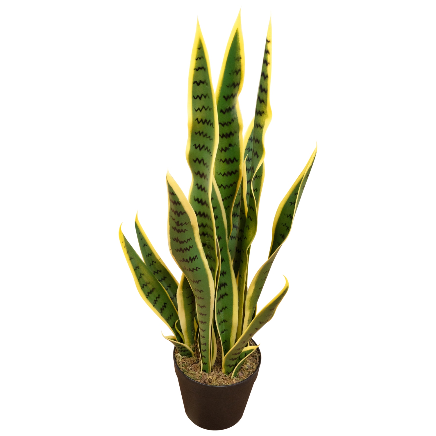 Real Touch Artificial Potted Striped Leaf Dracaena Snake Plant - 29"