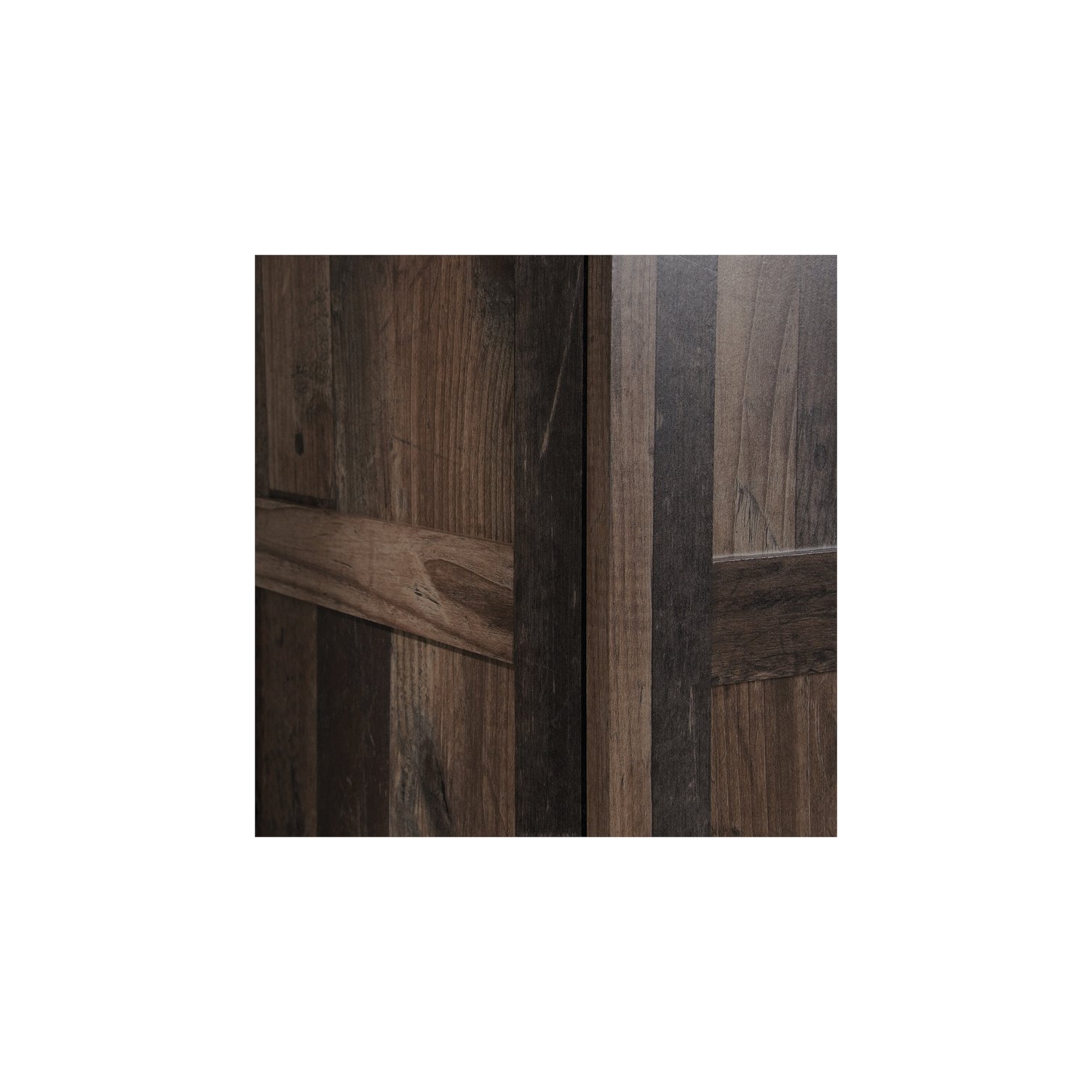 Pemberly Row 2 Door Wooden Storage Cabinet in Reclaimed Pine