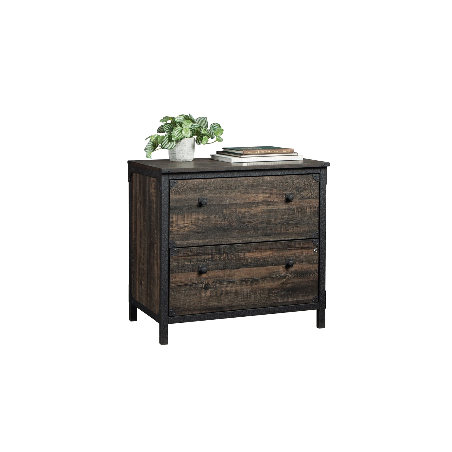 Sauder Steel River Lateral File in Engineered Wood-Carbon Oak
