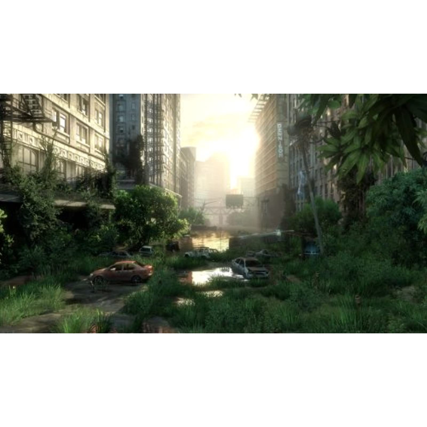 Previously Played - The Last Of US PlayStation 3