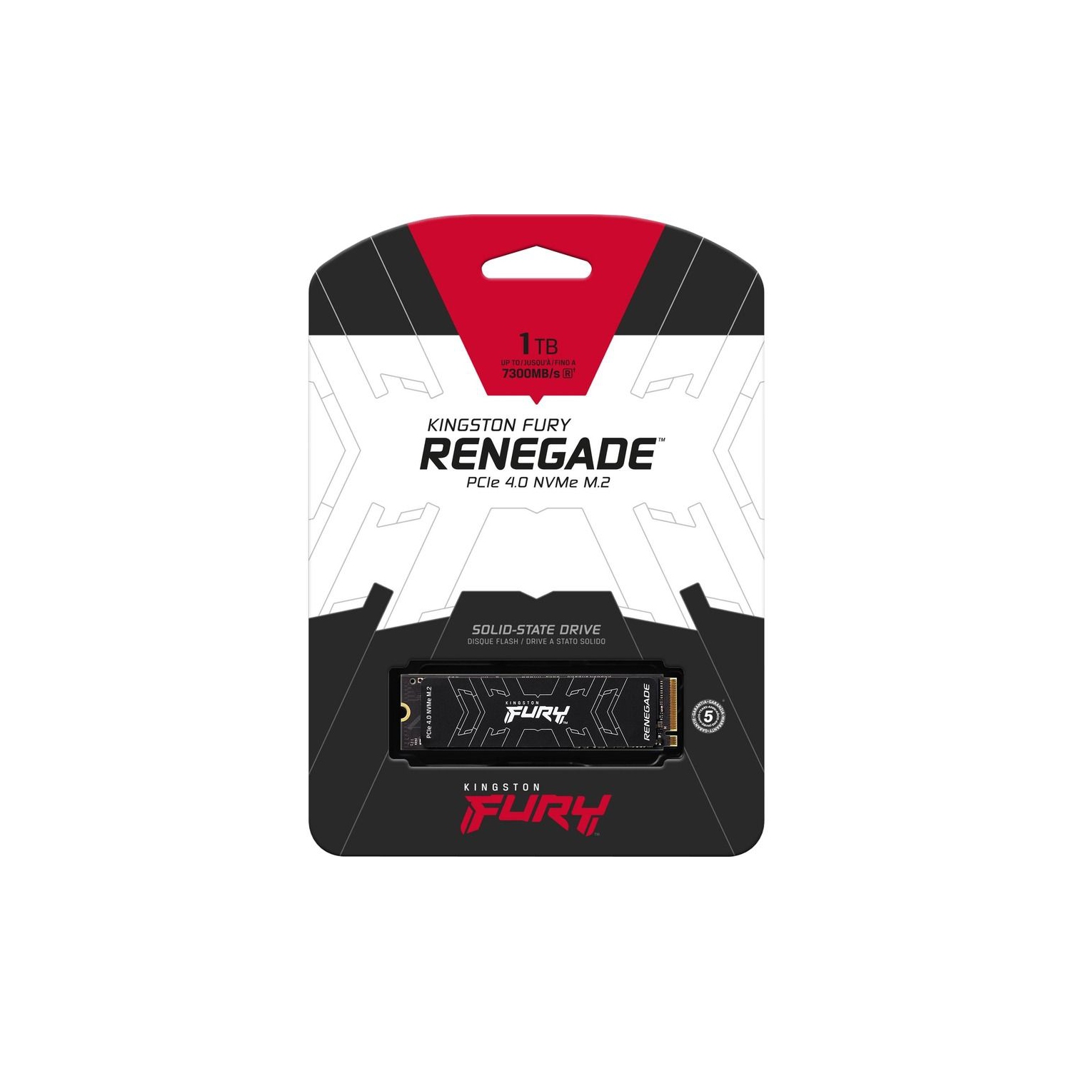 Kingston FURY RENEGADE SSD