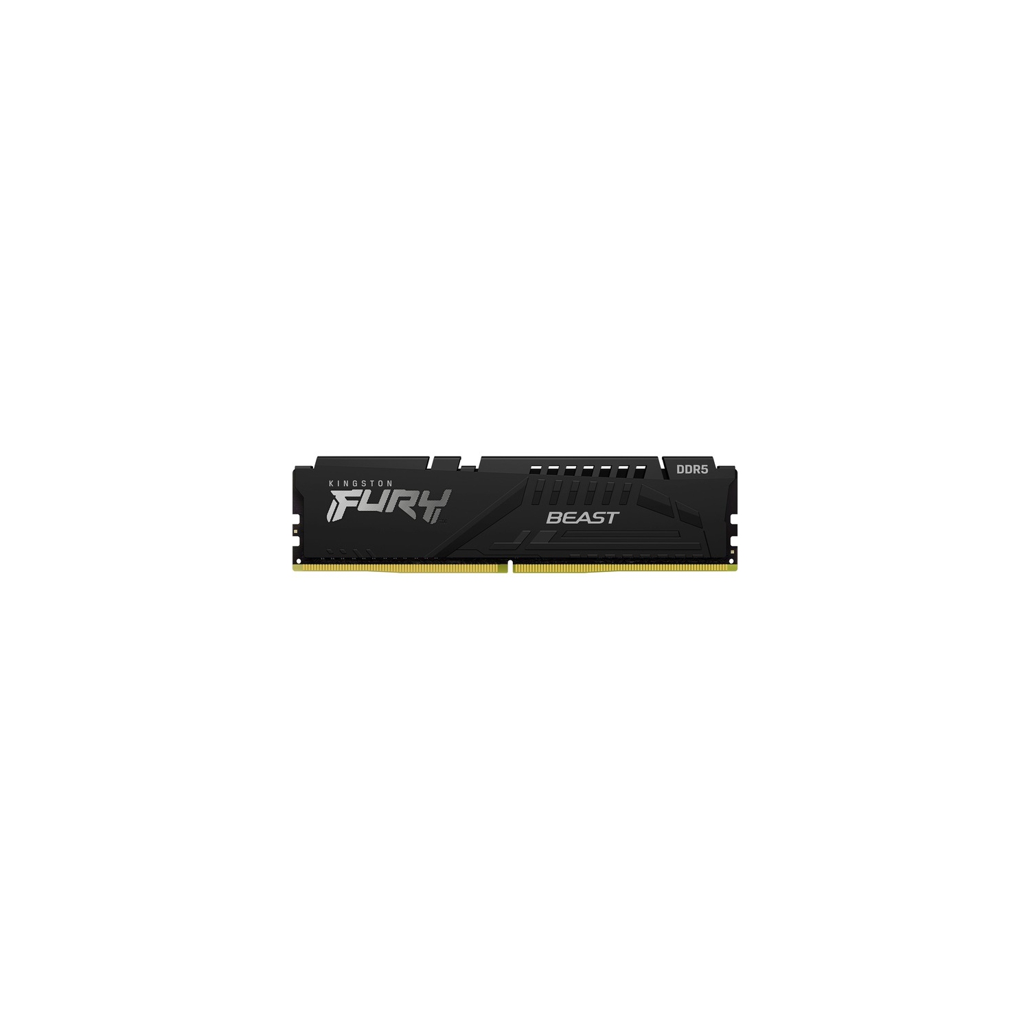 Kingston FURY Beast 8GB DDR5 SDRAM Memory Module