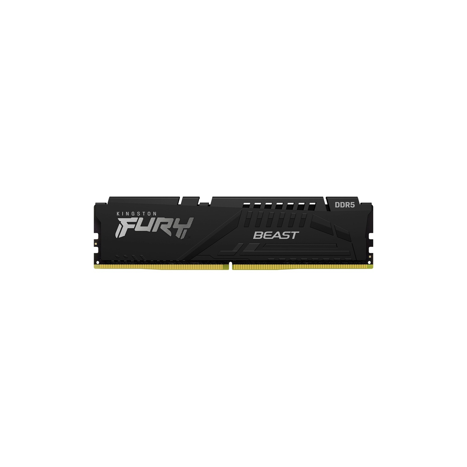 Kingston FURY Beast 8GB DDR5 SDRAM Memory Module