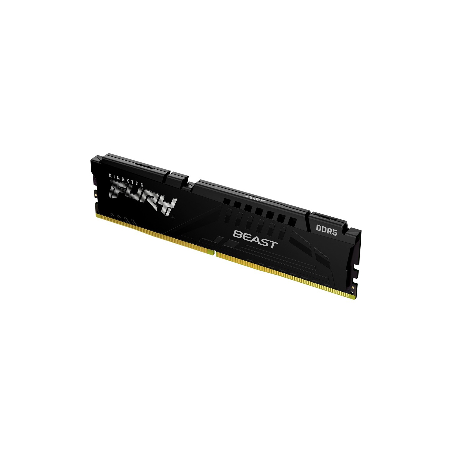 Kingston FURY Beast 8GB DDR5 SDRAM Memory Module
