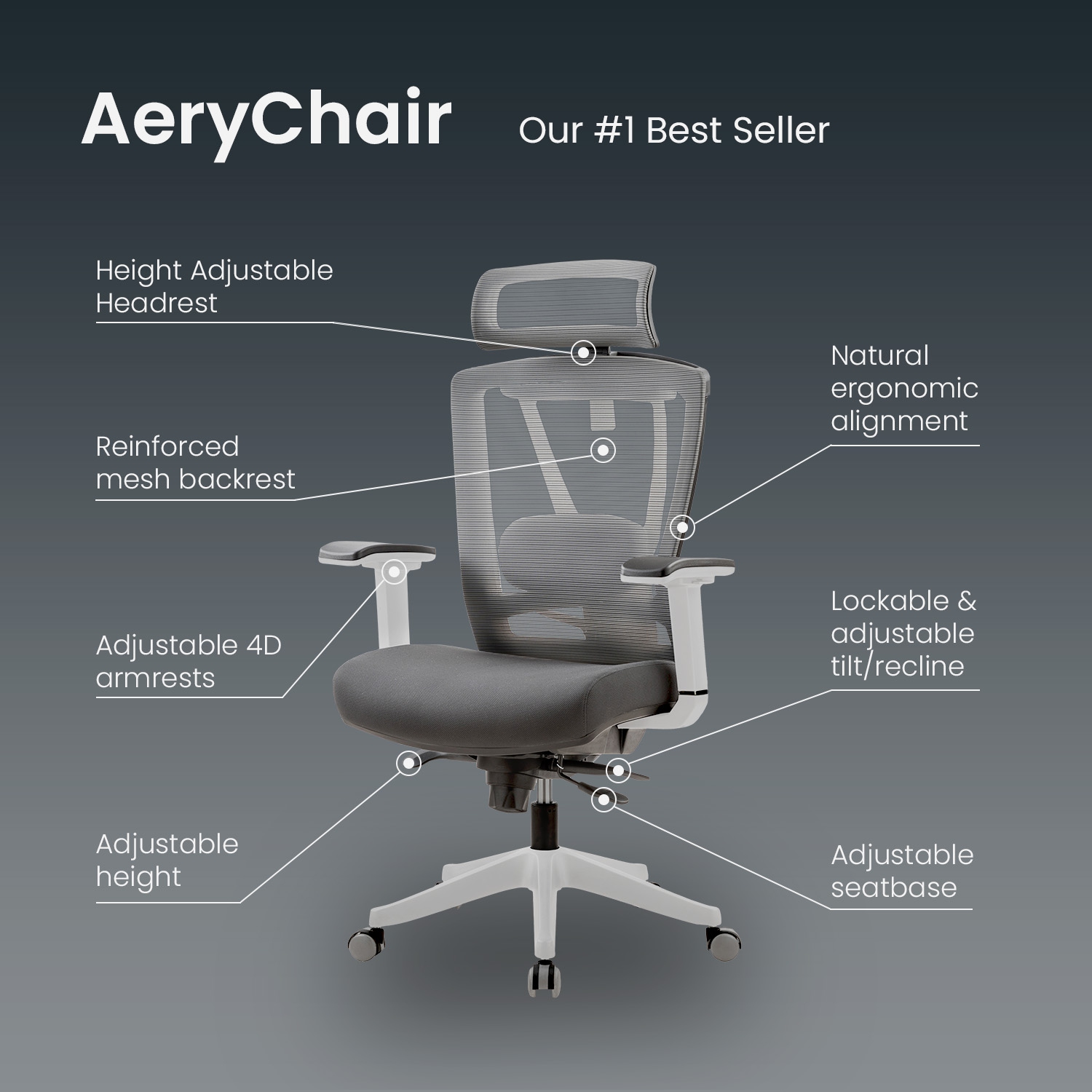 Advanced Stability Chair – ACHR – OverFiftyFitness