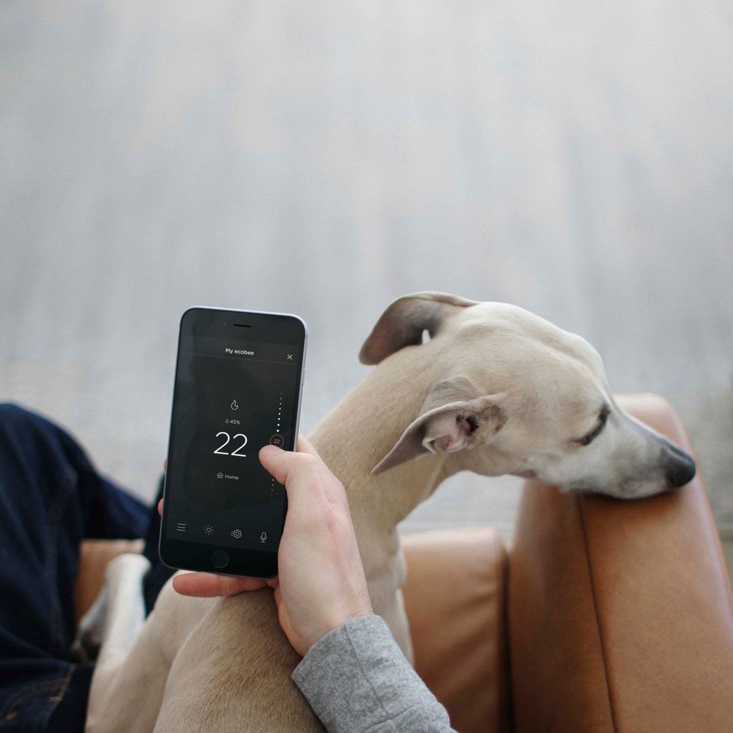 Capteur intelligent d'ecobee pour thermostats intelligents - Paquet de 2 - Blanc