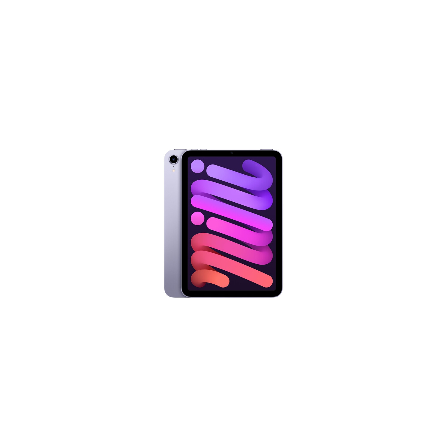 Apple iPad Mini (WiFi Only) (2021)