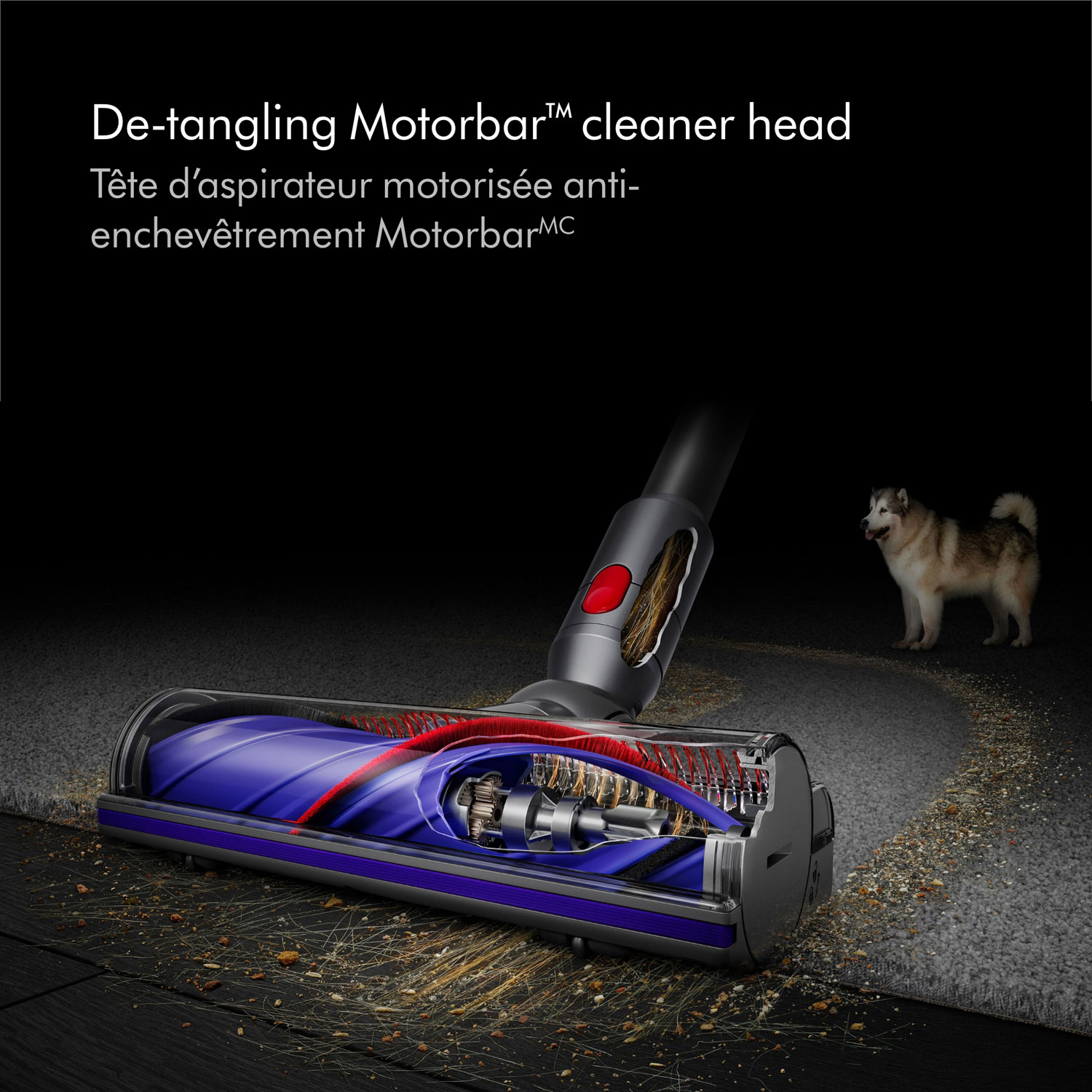 dyson V12 detect slim absolute SV46 ABL-