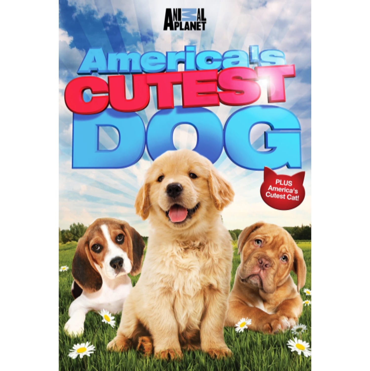America's Cutest Dog - [DVD]