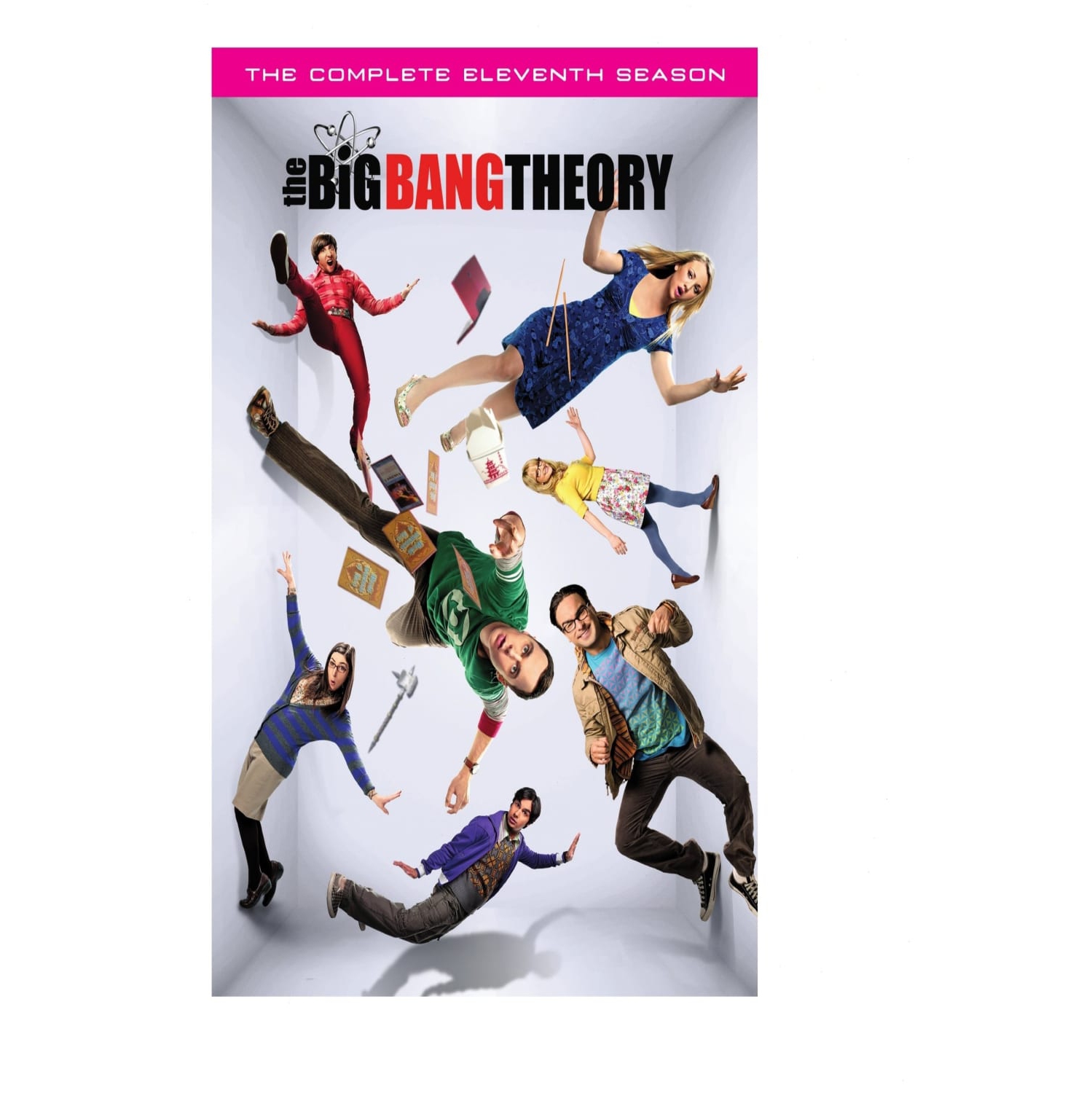 The Big Bang Theory - Season 11 (DVD)