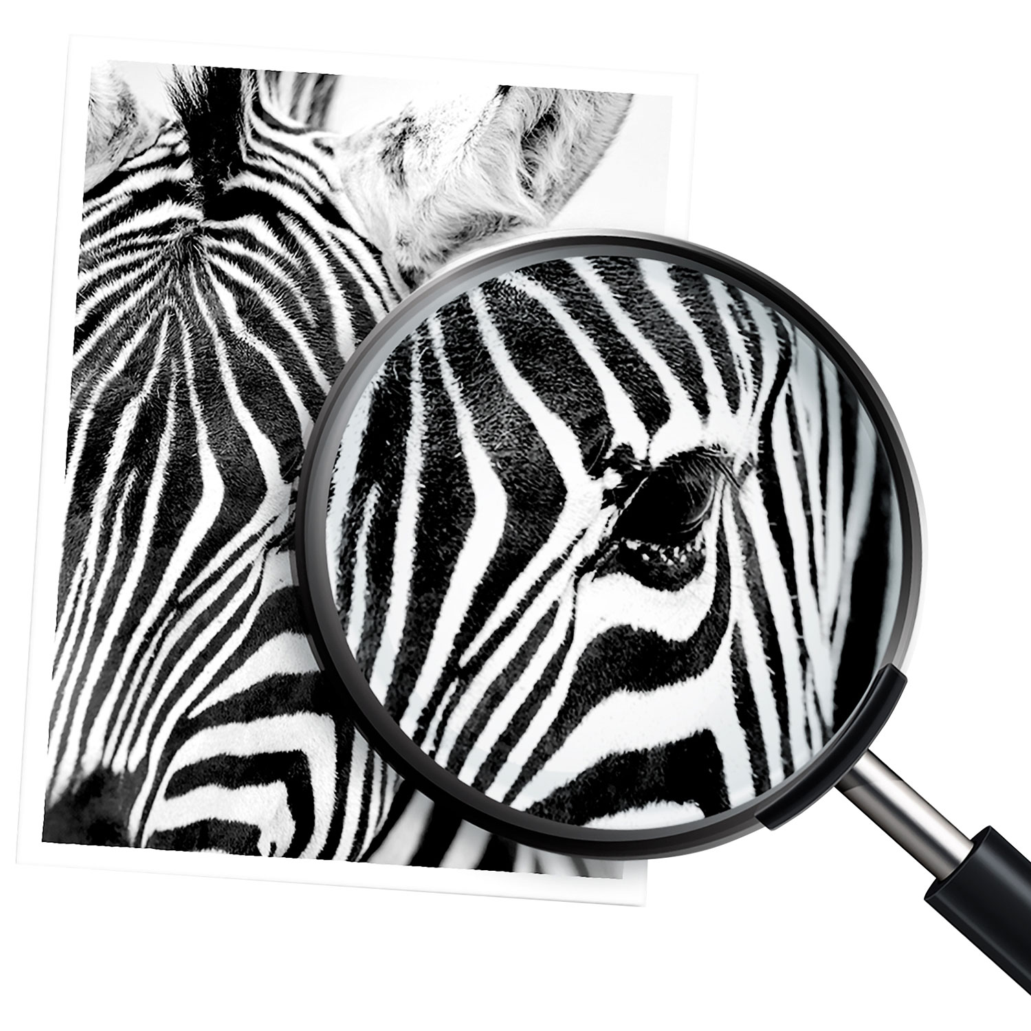 Cartouche d'encre en poudre noire LaserJet 141A de HP