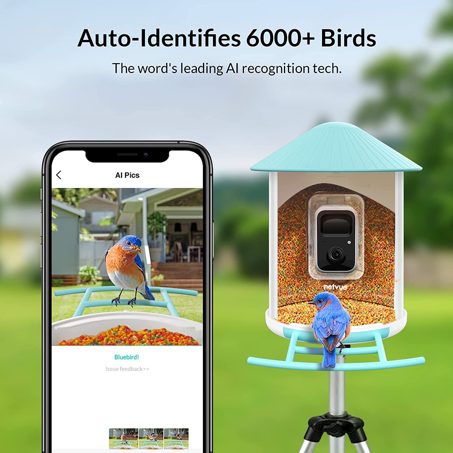 Netvue Birdfy - Caméra de Mangeoire Oiseaux Exterieur, Caméra d'oiseaux, AI  Reconnaissance des Espèces d'Oiseau, Caméra WiFi à Batterie, Capture des  Images/Vidéos (Birdfy Feeder)