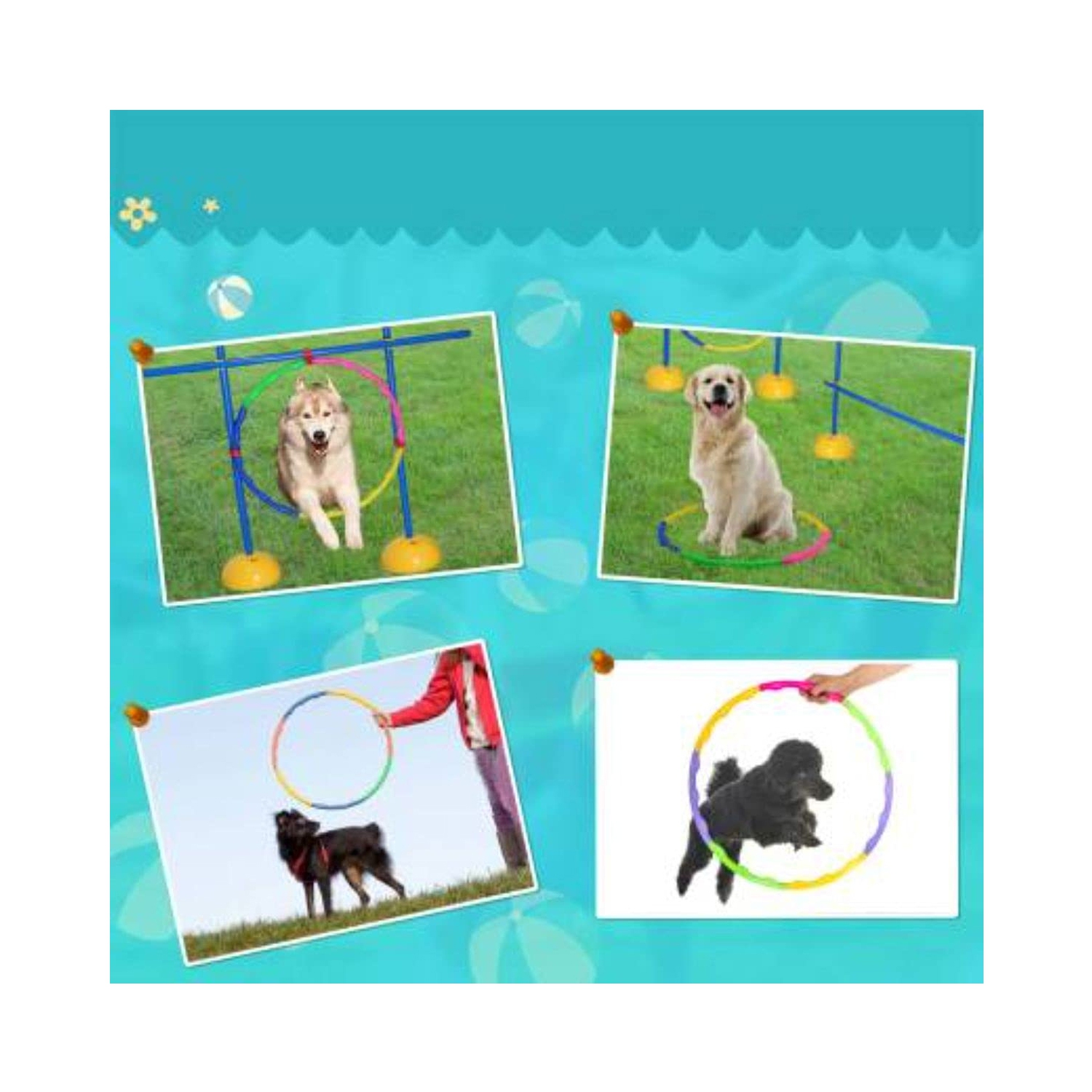 ISTAR Slim Trim Ring Hola Hoop Exercise Ring Plastic Toys for Kids, Gymnastics, Dog Agility Equipment Hula Hoop