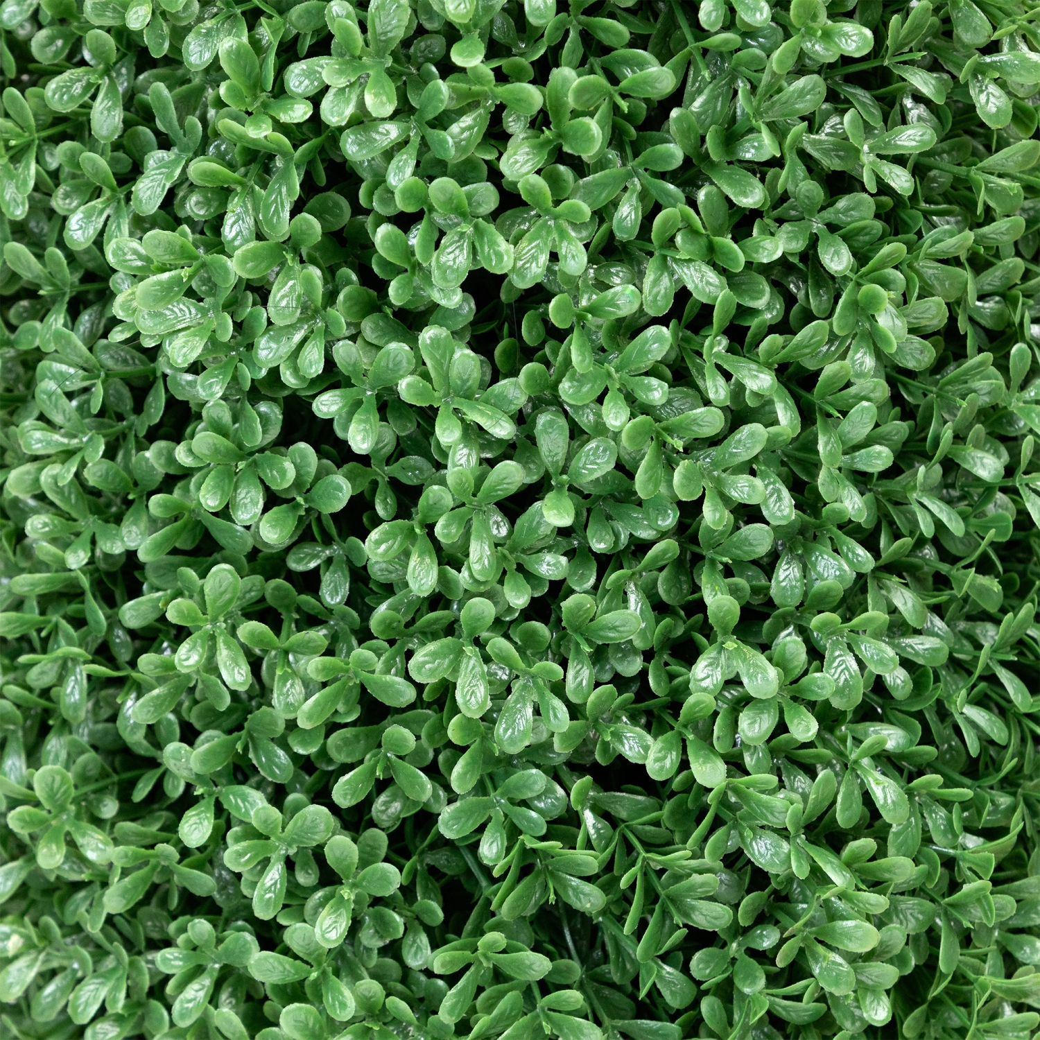 Boxwood Cone Topiary Artificial Tree in Pot - 4'