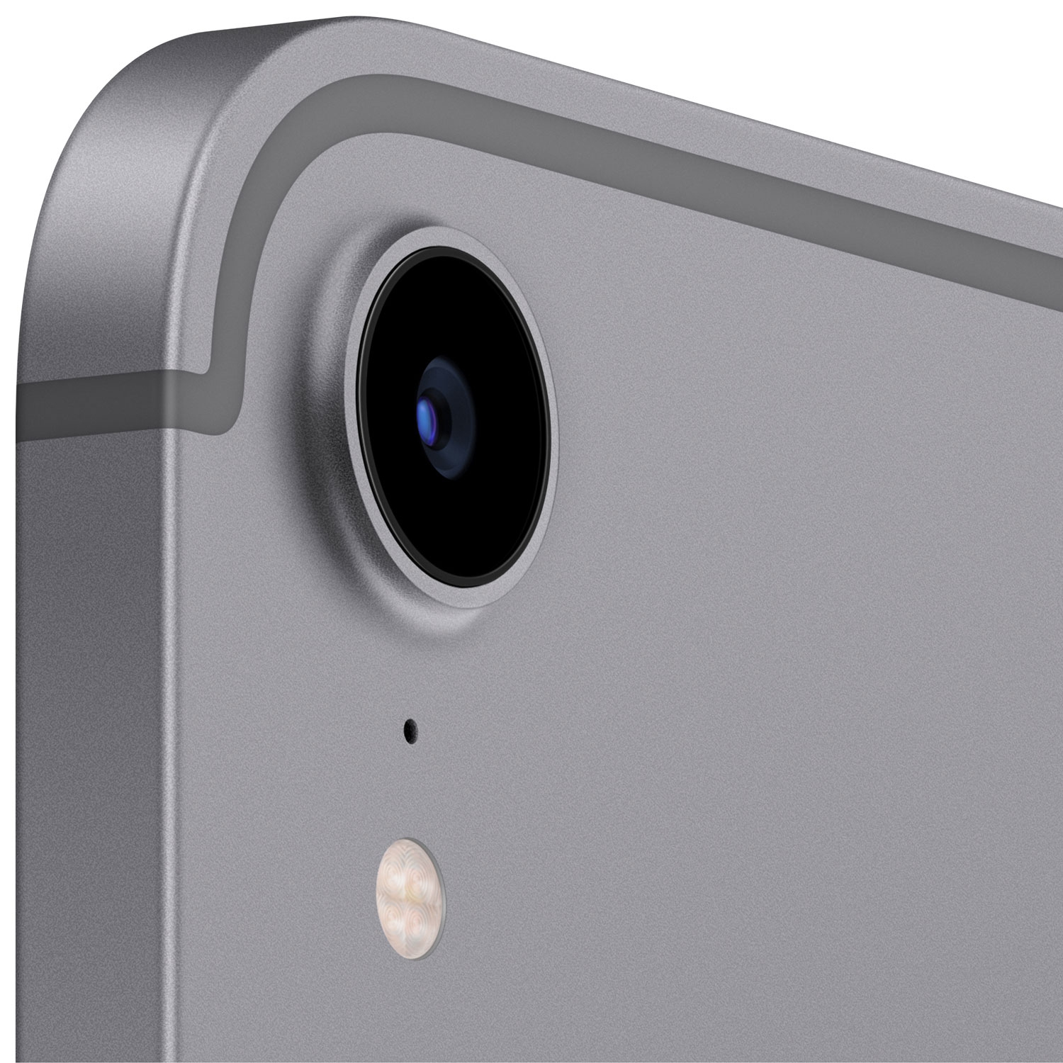 Remis à neuf - iPad mini 64&nbsp;Go 8,3&nbsp;po avec Wi-Fi et cellulaire d'Apple (génération 6ᵉ) - Gris cosmique