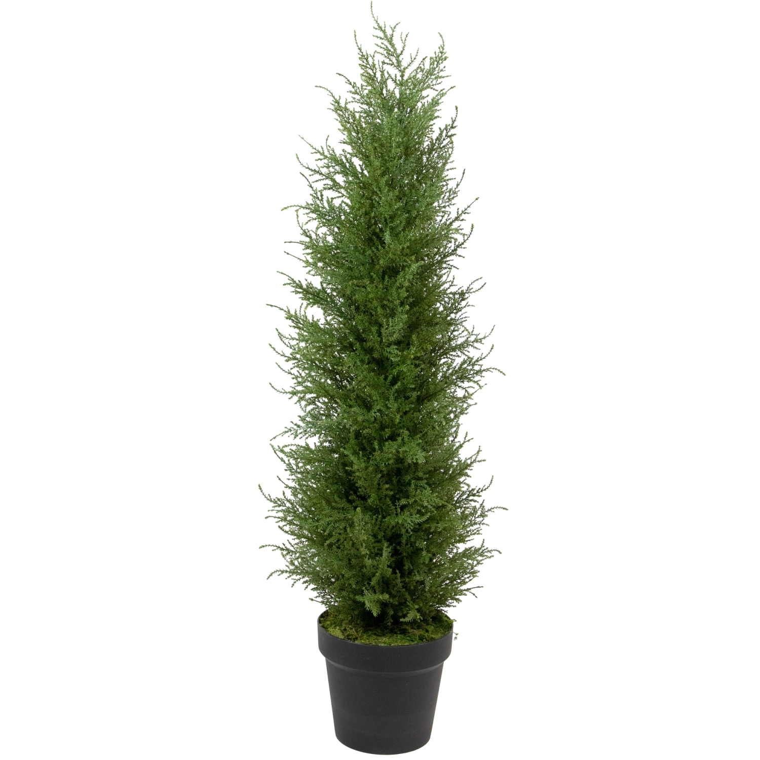 3' Artificial Cedar Pine Petite Arborvitae Tree in Round Pot, Unlit