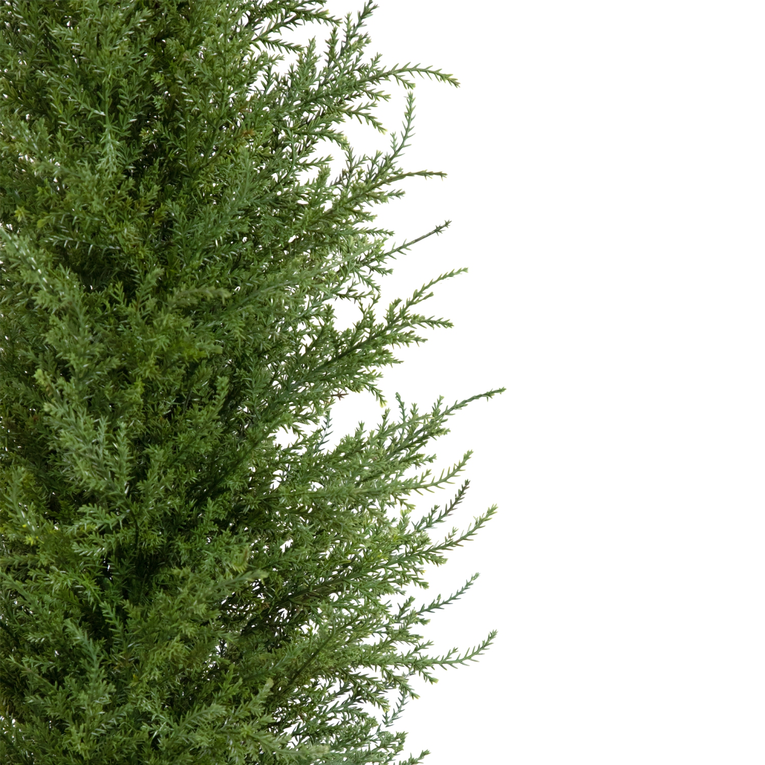 3' Artificial Cedar Pine Petite Arborvitae Tree in Round Pot, Unlit