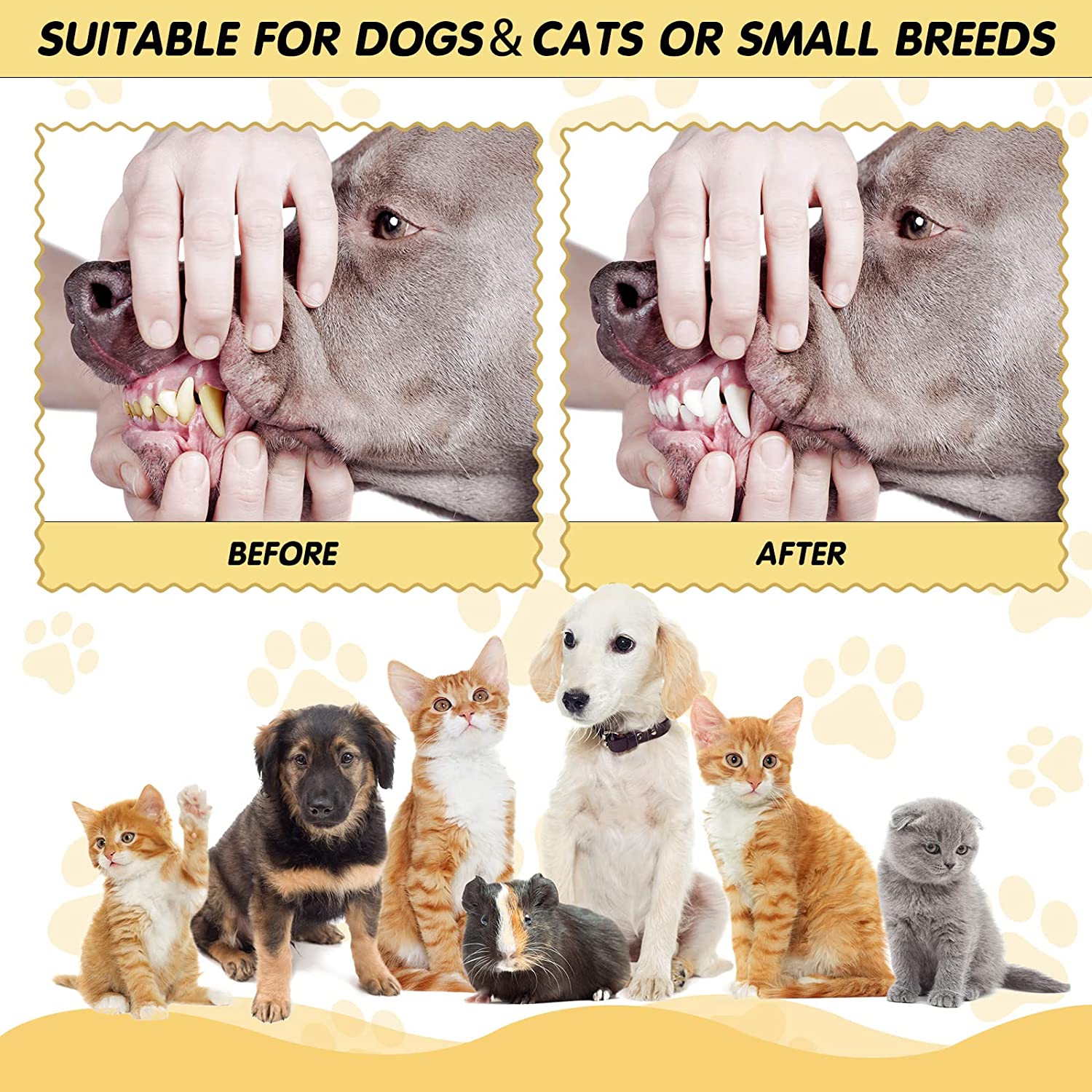 ISTAR de nettoyage oral pour chien de compagnie Brosse à dents à trois têtes pour animaux de compagnie Brosses de soin des dents en caoutchouc souple