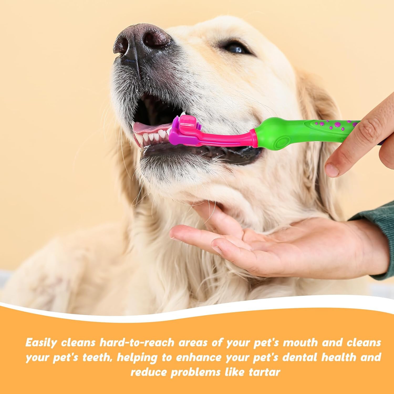 ISTAR de nettoyage oral pour chien de compagnie Brosse à dents à trois têtes pour animaux de compagnie Brosses de soin des dents en caoutchouc souple