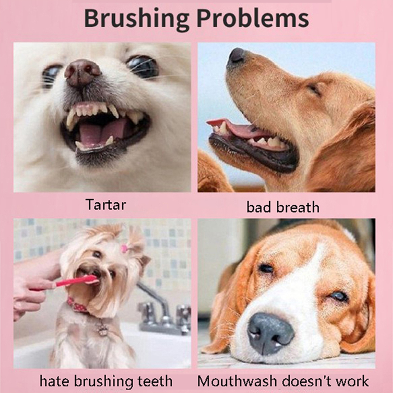 ISTAR de nettoyage oral pour chien de compagnie Brosse à dents à trois têtes pour animaux de compagnie Brosses de soin des dents en caoutchouc souple