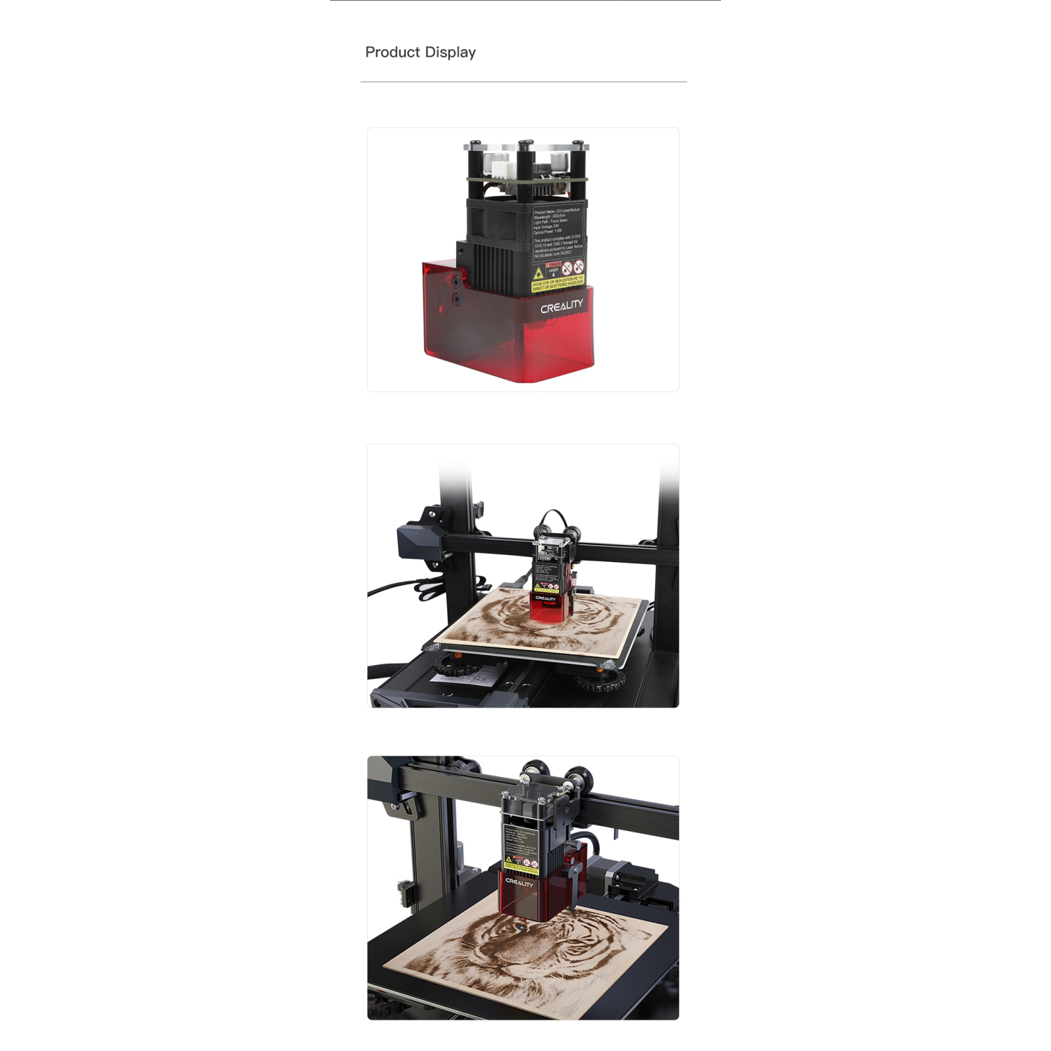 Creality Ender-3 S1/S1 Pro – Module de laser CV 24 V 1,6 W.