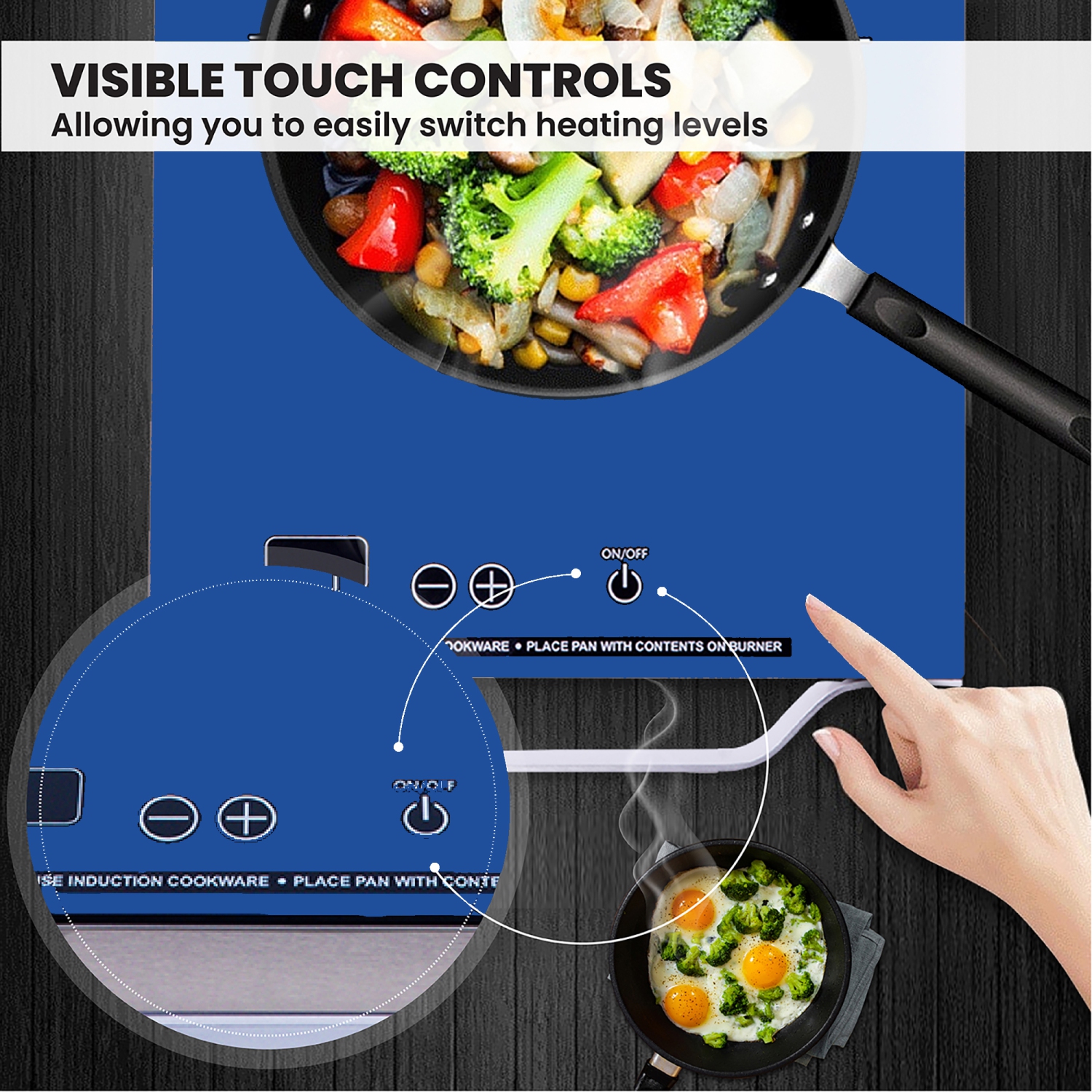 Surface de cuisson à induction portative à un brûleur DE 11 po avec poignée en aluminium 110&nbsp;V