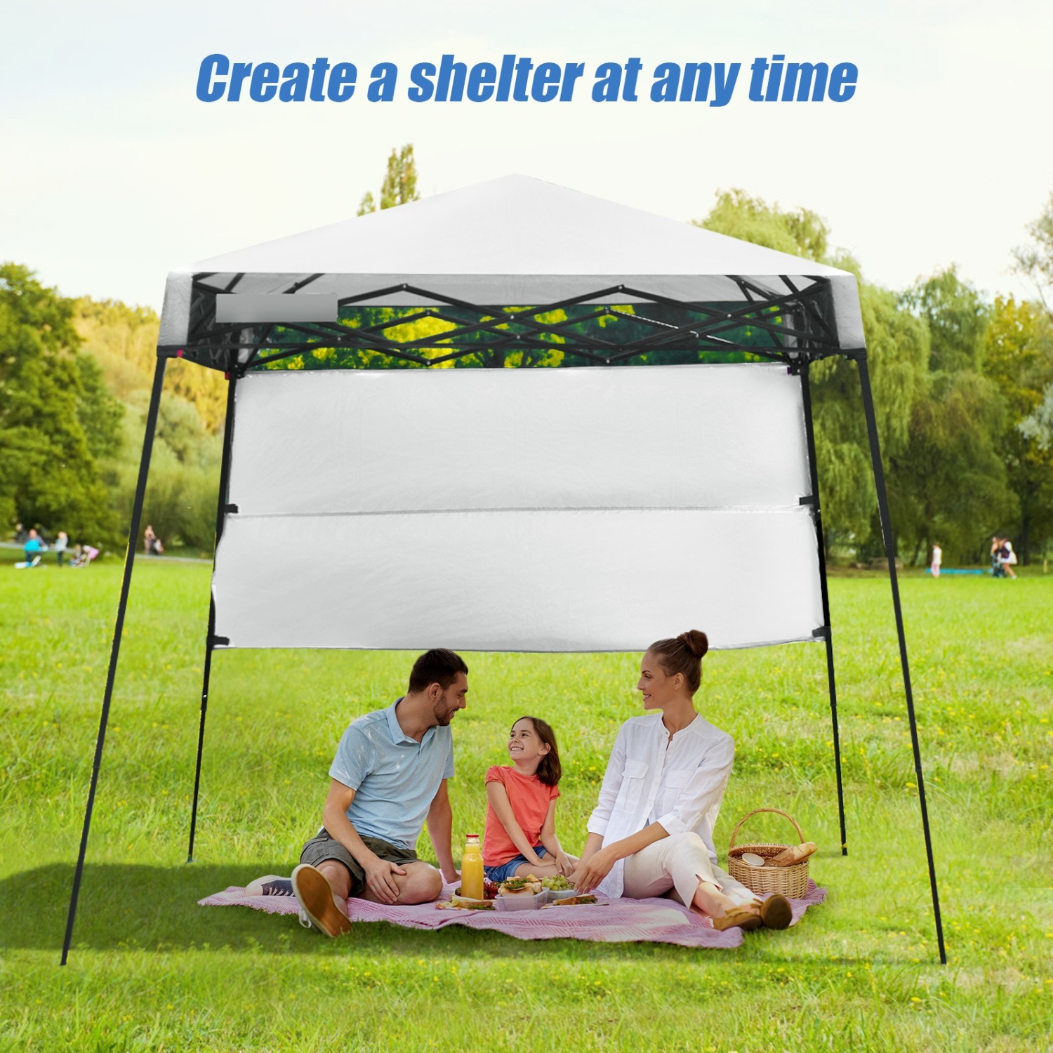 Pop-up Canopy Tent with Carry Bag and 4 Stakes