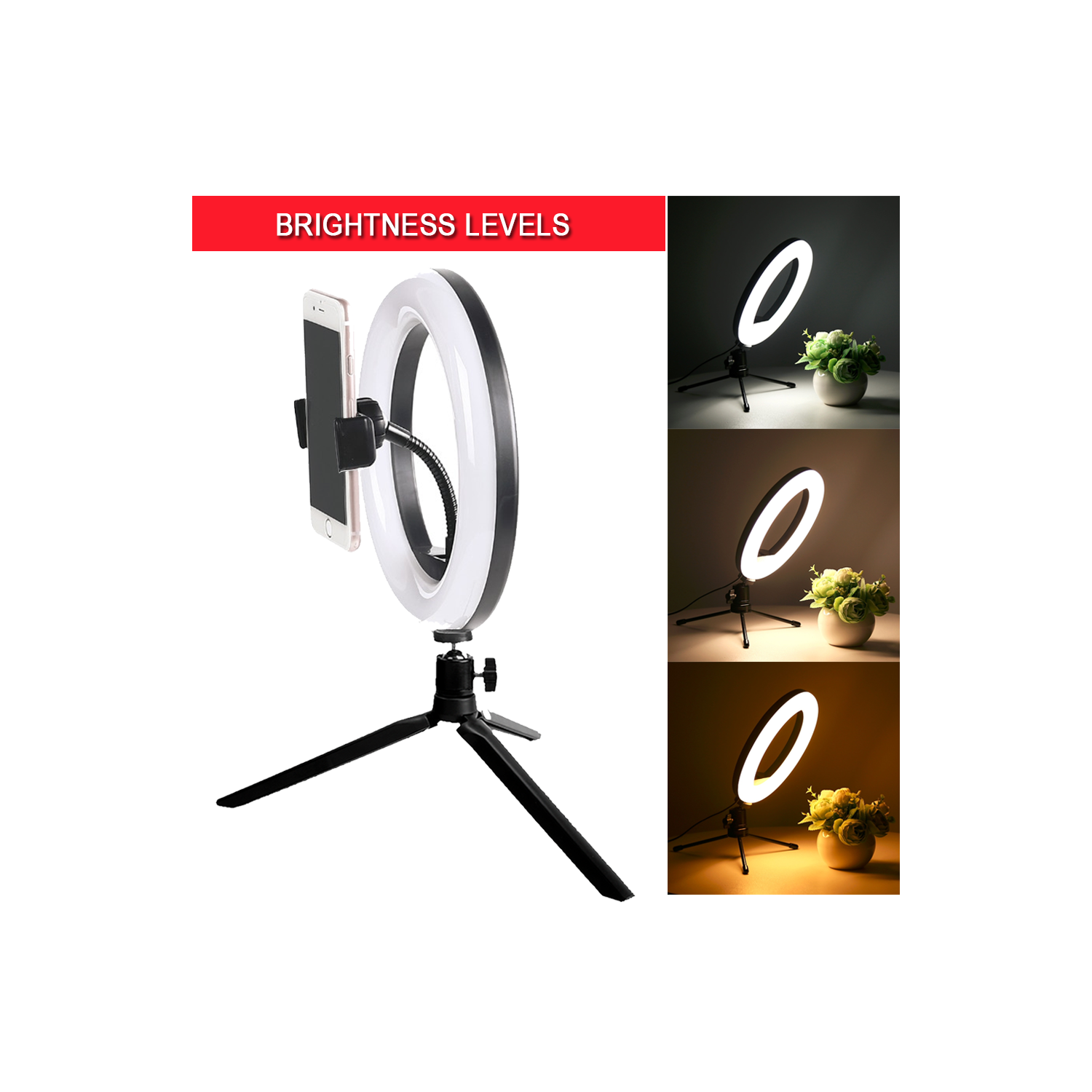 Kodak Professional Gold 200 Color Negative Film