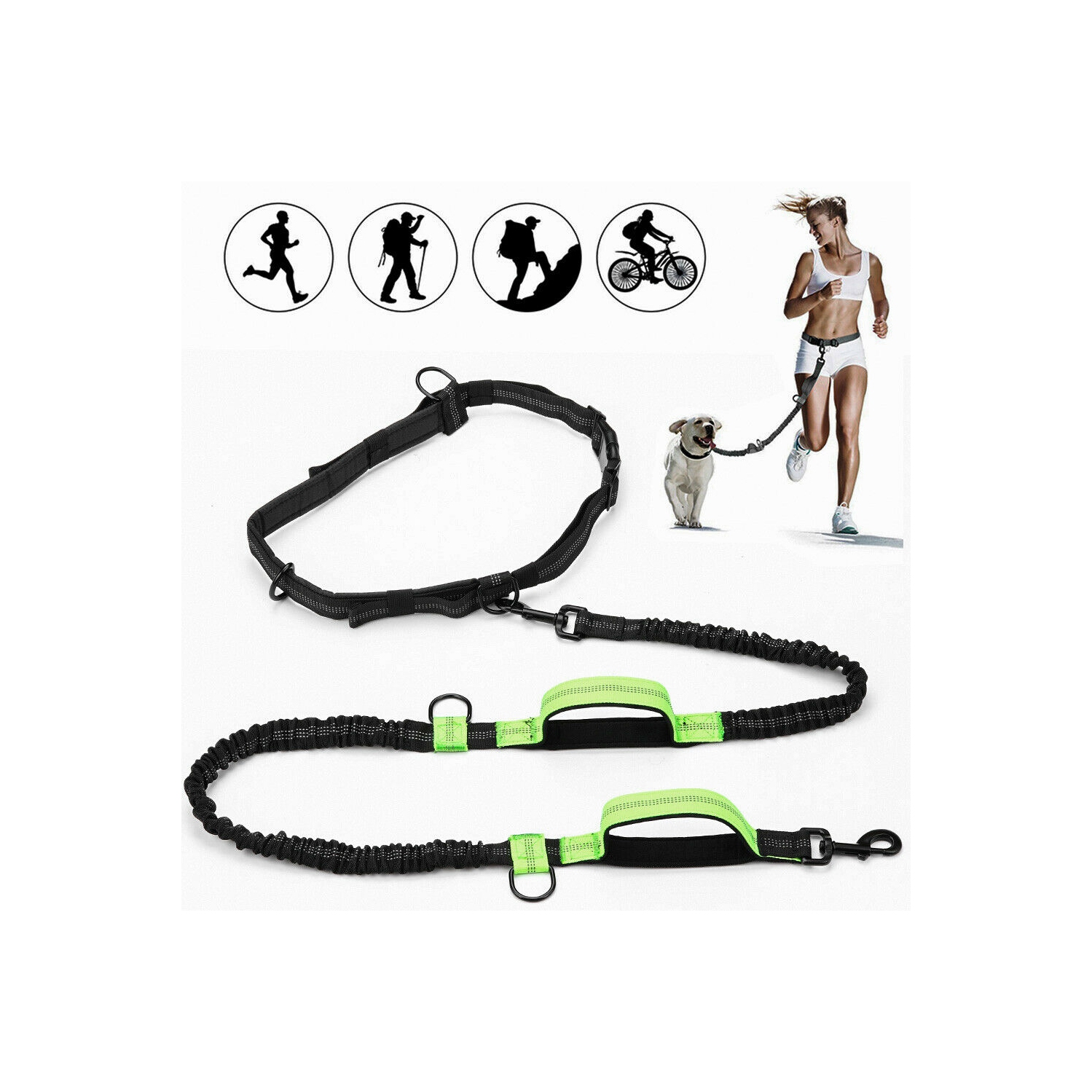 Retractable Hands Free Pet Dog Leash Dual Handle Leash Reflective Waist Belt CA