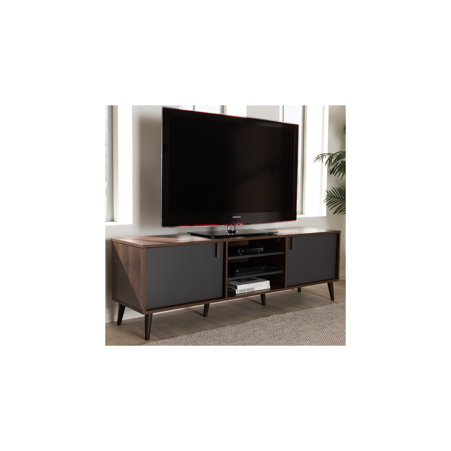 Bowery Hill Modern TV Stand in Brown and Dark Grey