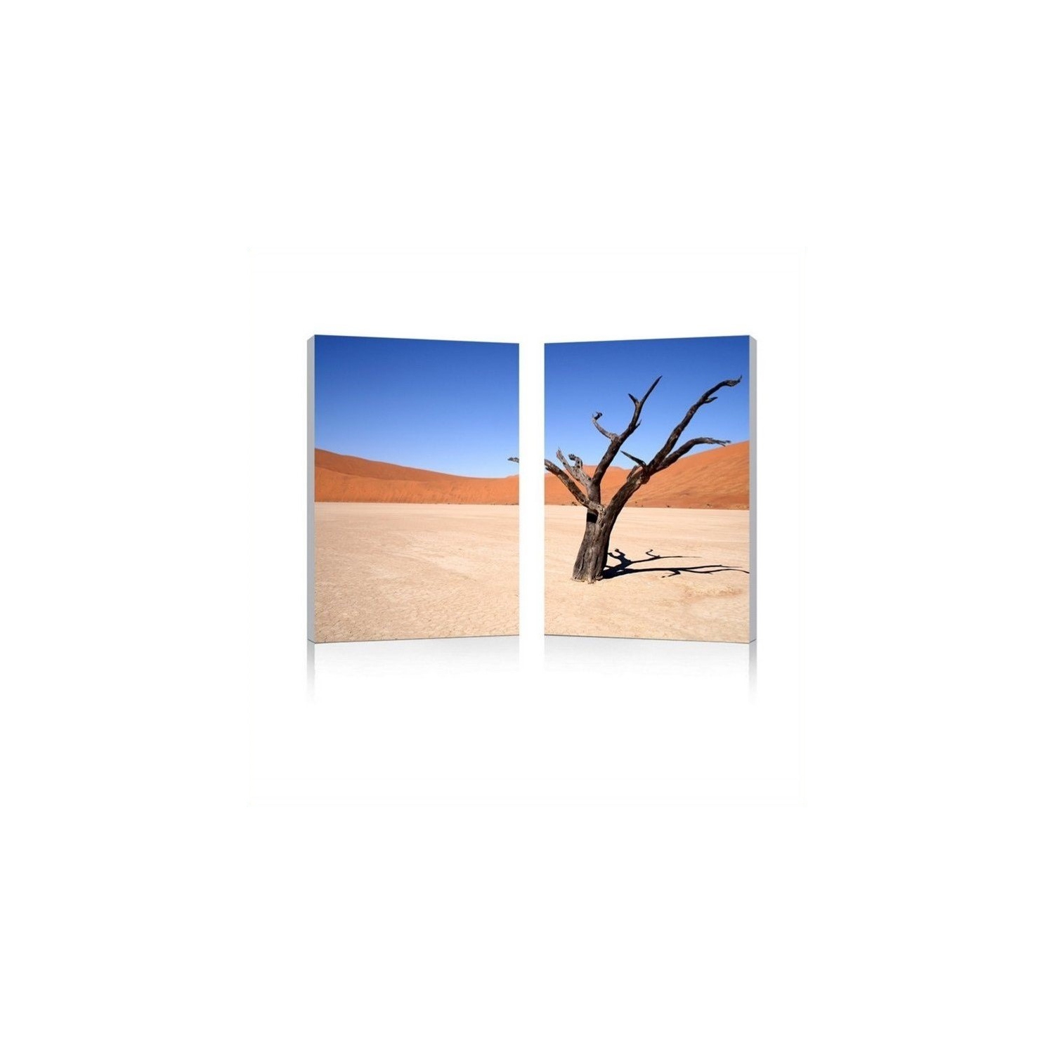 Desert Solitude Mounted Print Diptych in Multicolor