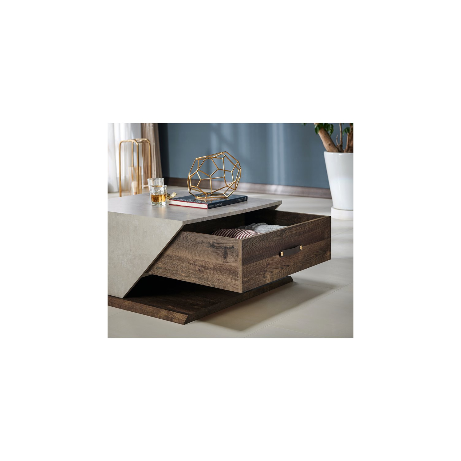 Furniture of America Menster Modern Wood Storage Coffee Table in Reclaimed Oak