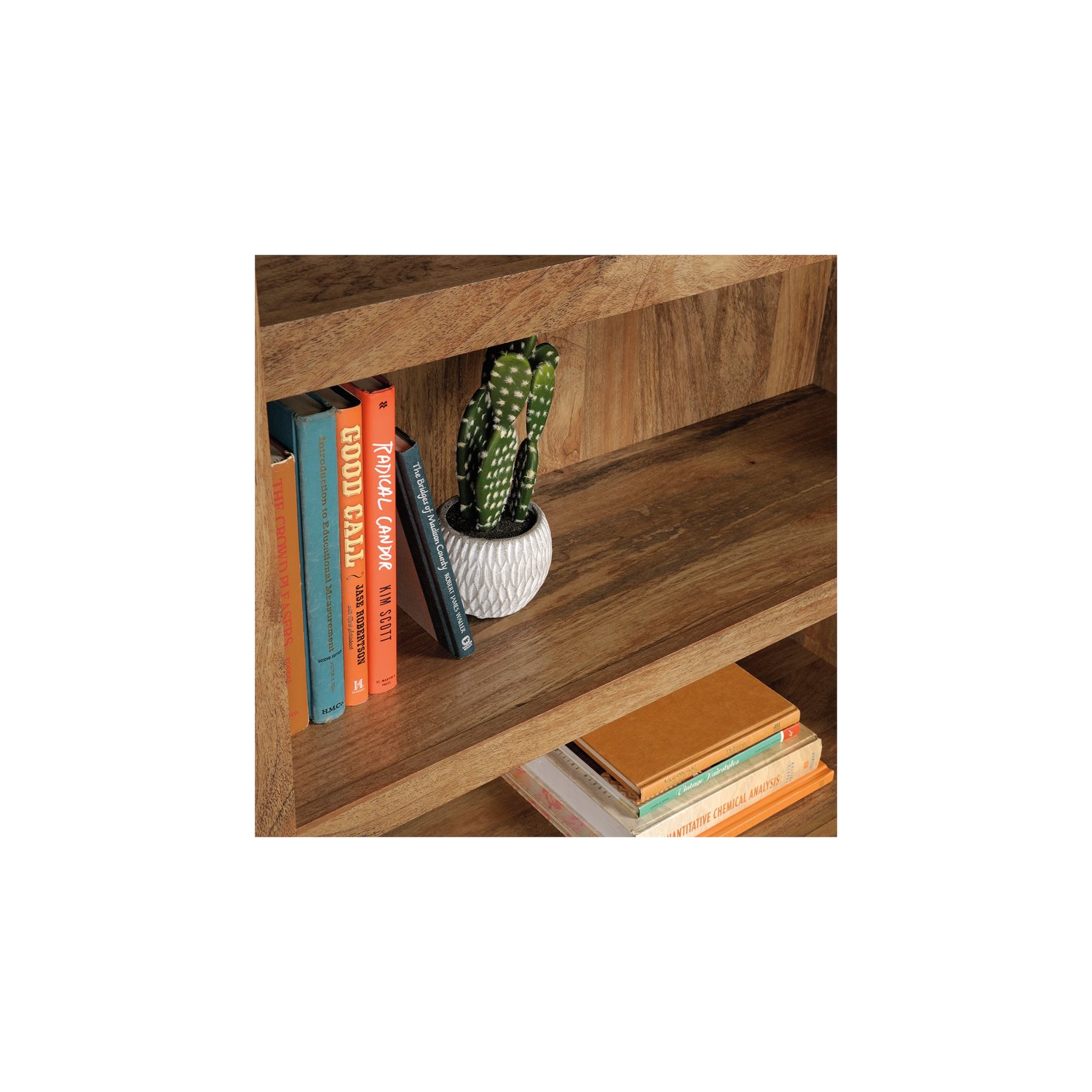 Sauder Misc Storage Contemporary 3-Shelf Wood Bookcase in Sindoori Mango Beige