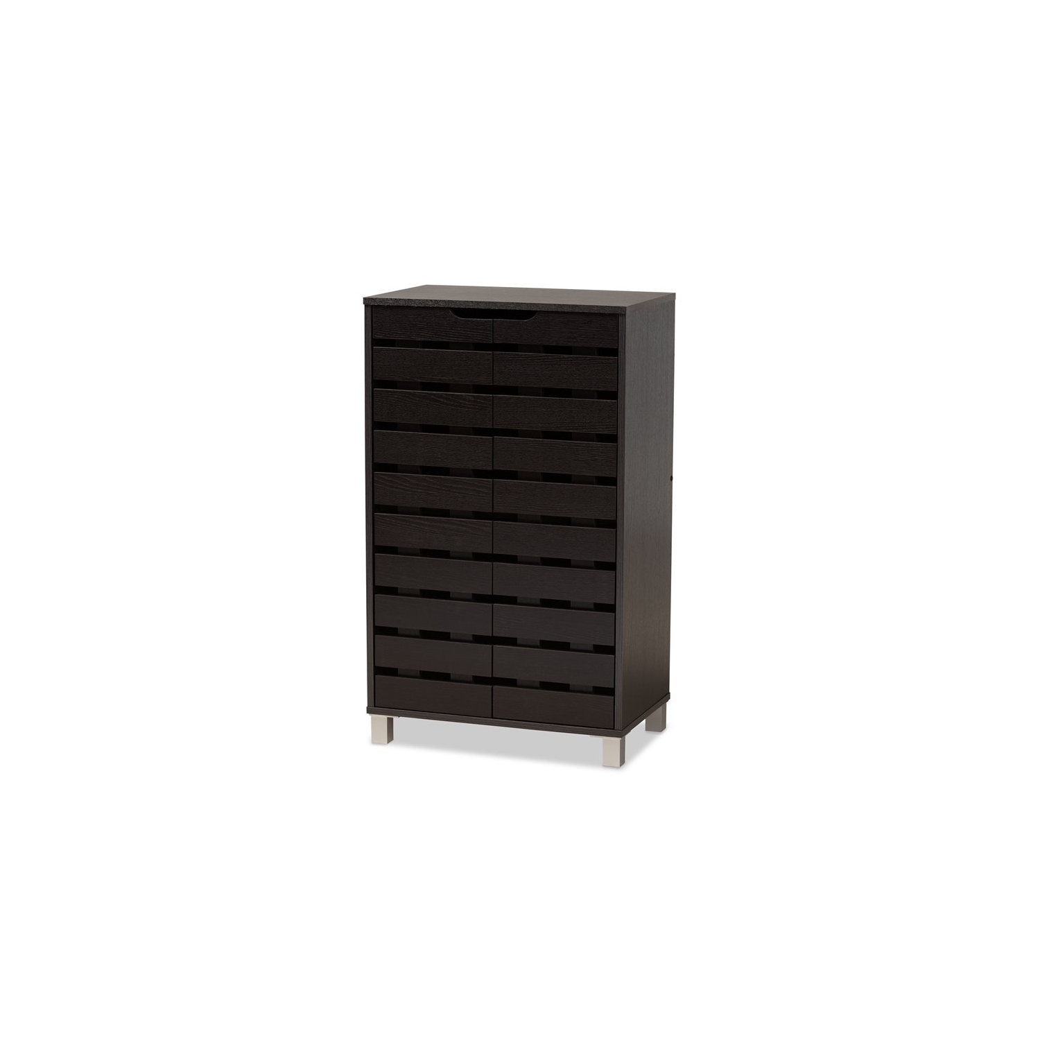 Bowery Hill Dark Brown Finished Wood 2-Door Shoe Storage Cabinet
