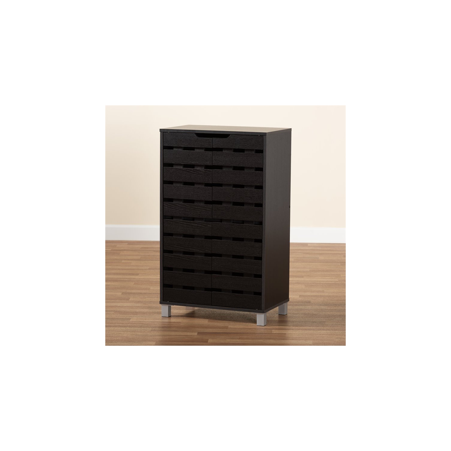 Bowery Hill Dark Brown Finished Wood 2-Door Shoe Storage Cabinet
