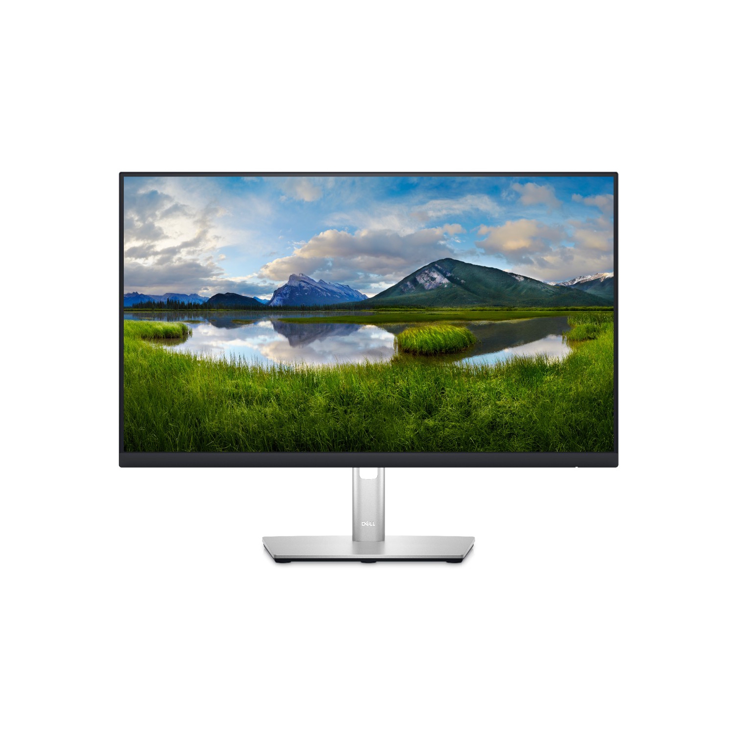 Dell 24 Inch QHD Monitor - P2423D