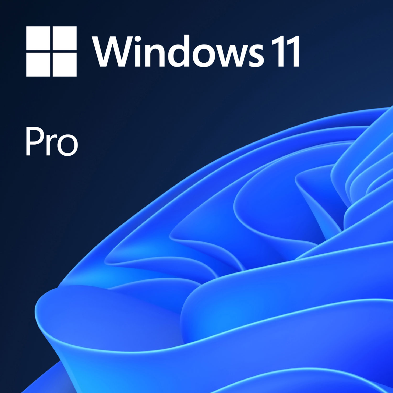 Microsoft Windows 11 Pro DVD - OEM Version (PC) - English