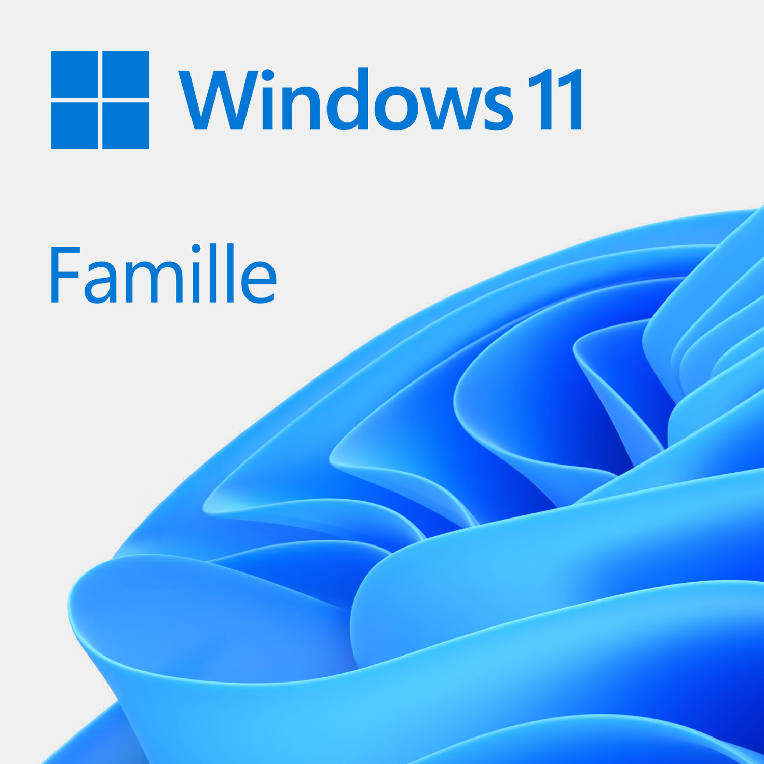 Microsoft Windows 11 Home DVD - OEM Version (PC) - French