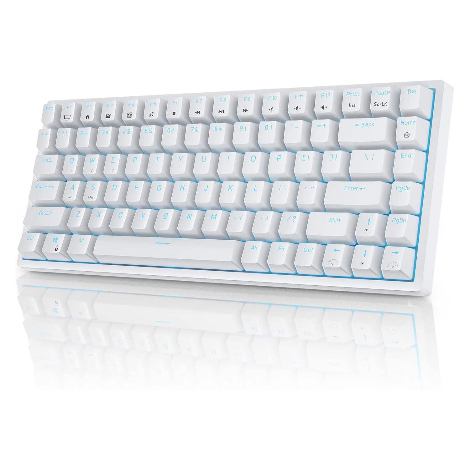 RK ROYAL KLUDGE RK84 Blue Backlit 75% Triple Mode BT5.0/2.4G/USB-C Hot Swappable Mechanical Keyboard, 84 Keys Tenkeyless TKL Mechanical Keyboard w/Detachable Frame