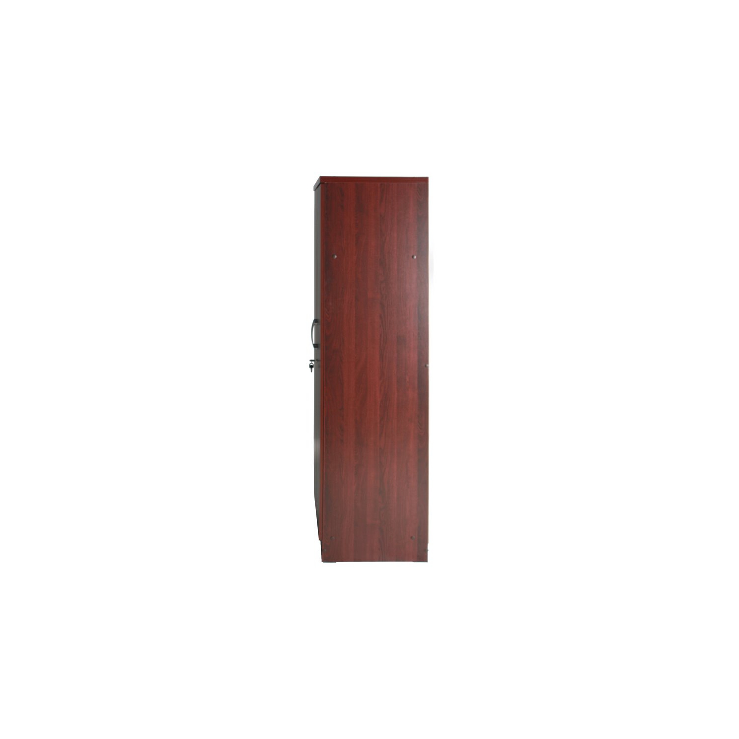 Armoire moderne en bois à deux portes Pemberly Row, acajou