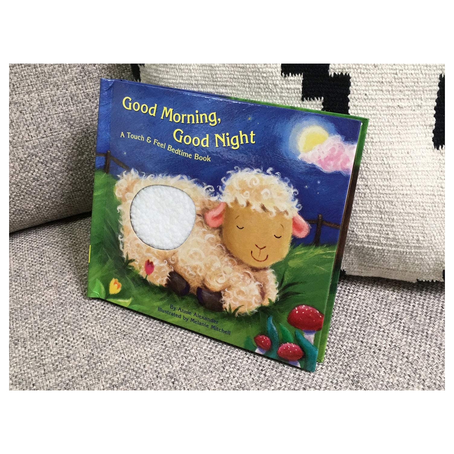 Good Morning, Good Night Large Edition: A Touch And Feel Bedtime