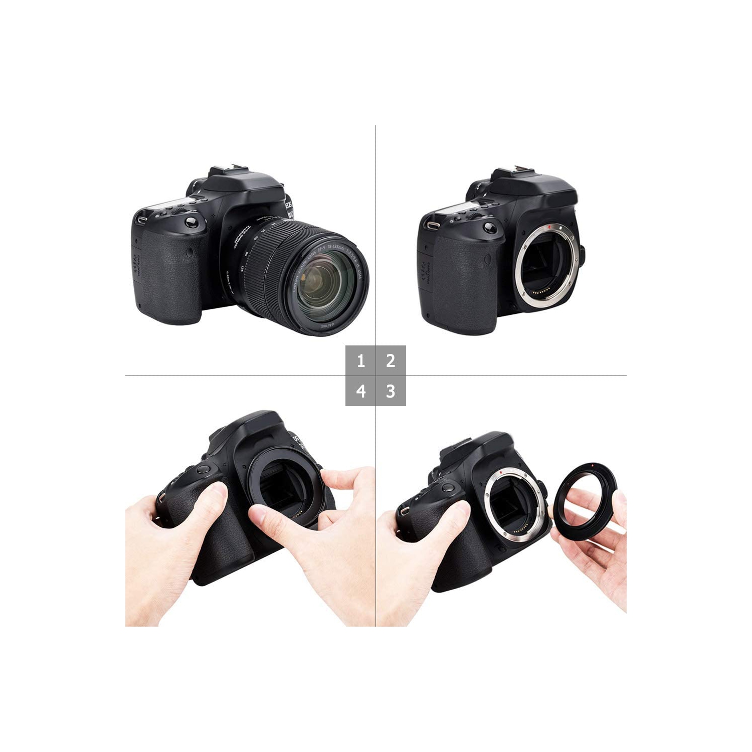Canon Eos Canon Camera Mount Types Dslr Camera Types Of Canon