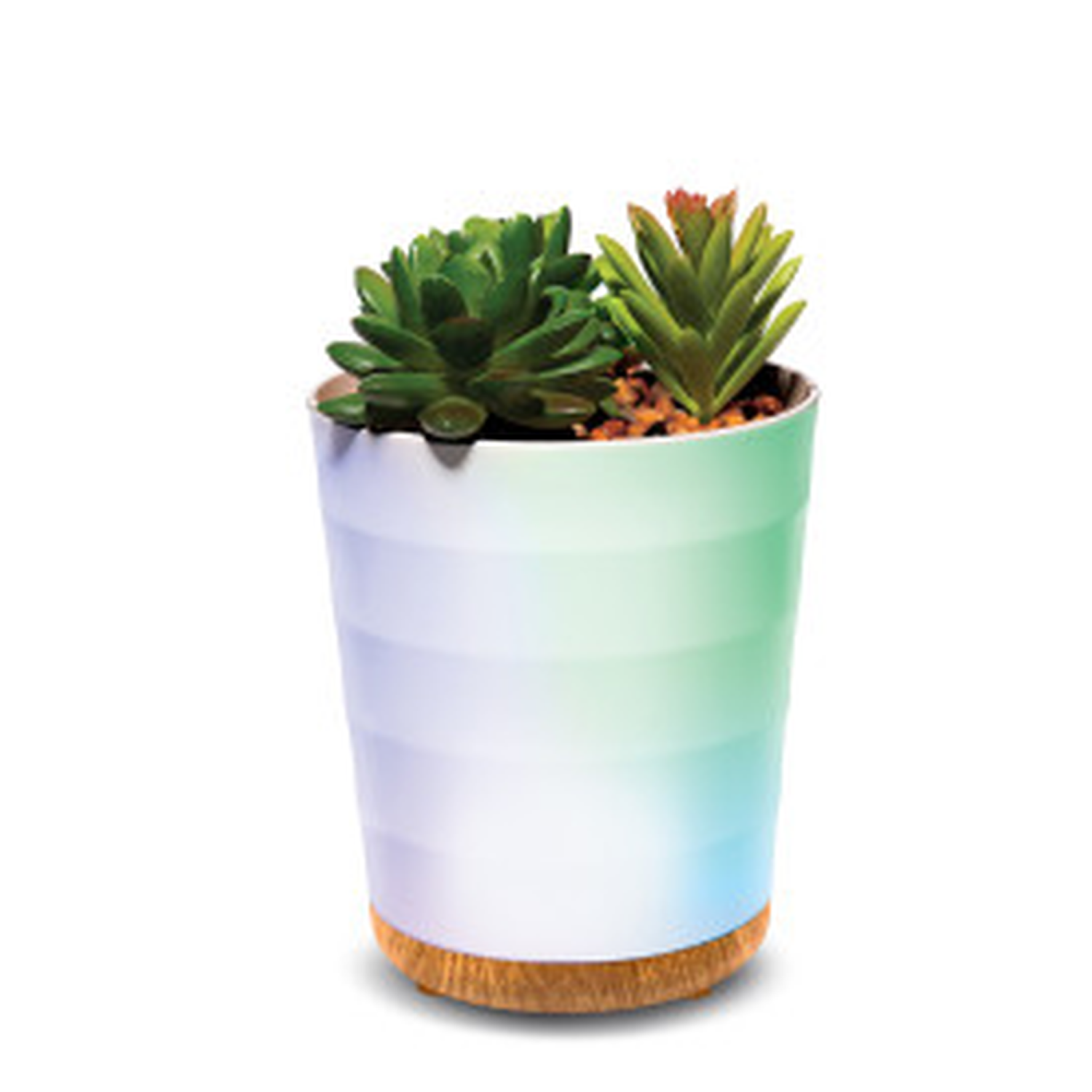 Diffuseur d'arômes succulents Lomi