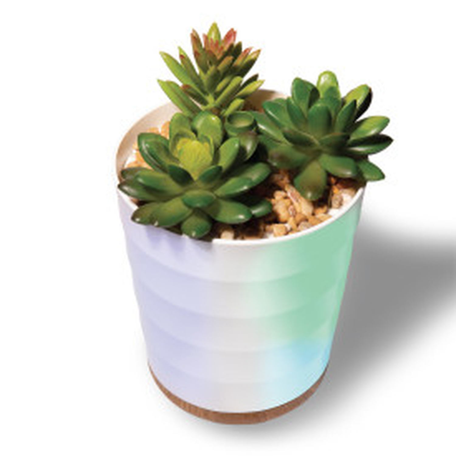 Diffuseur d'arômes succulents Lomi