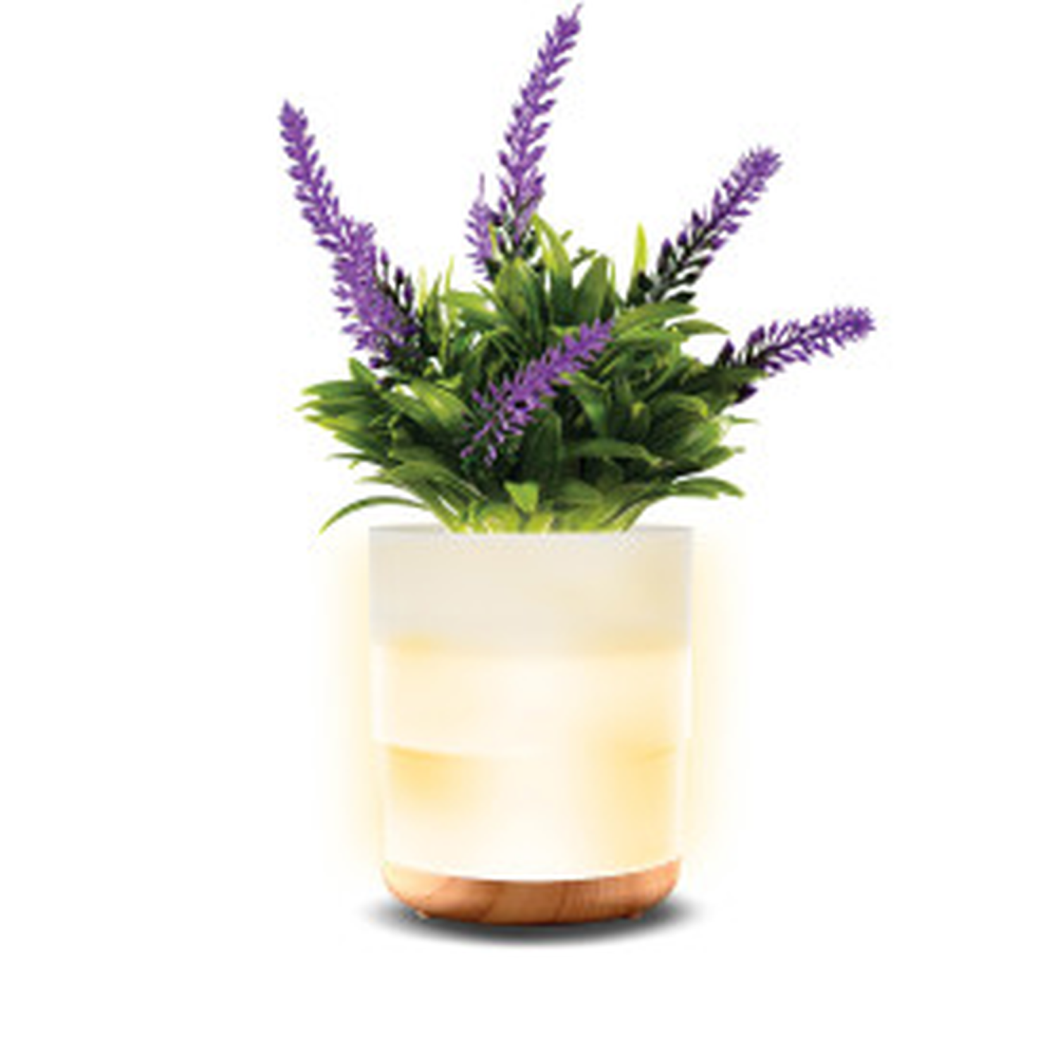 Lomi Lavender Plant Aroma Diffuser
