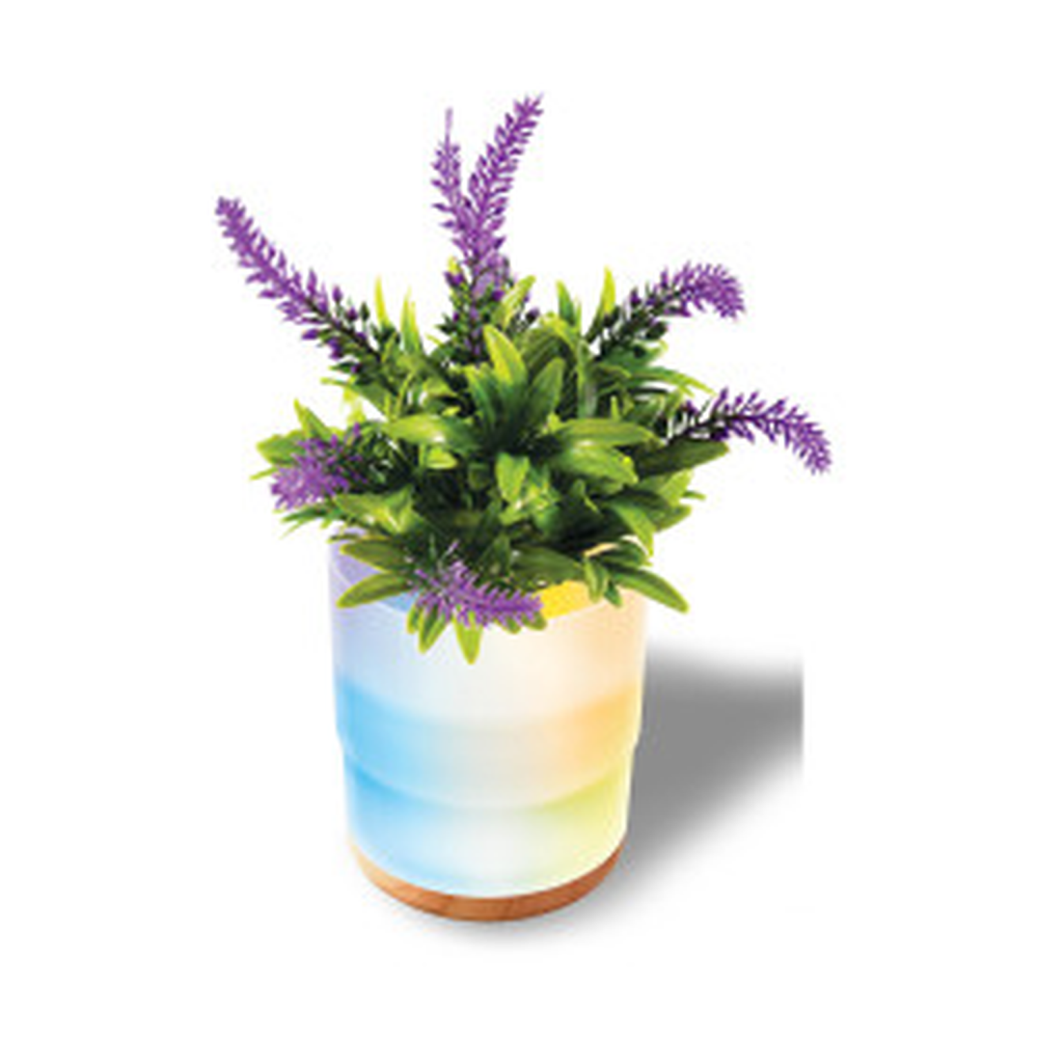 Lomi Lavender Plant Aroma Diffuser