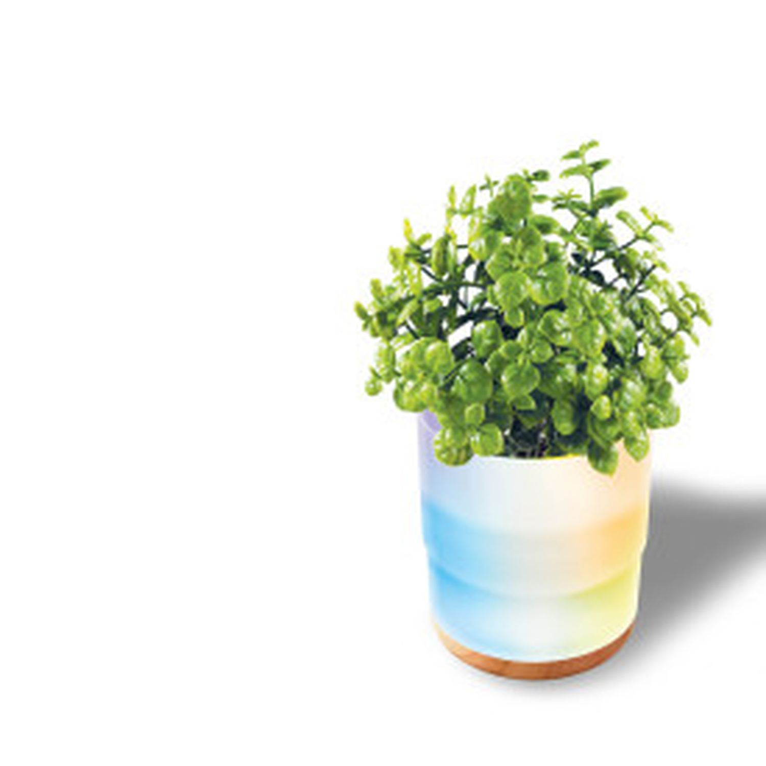 Diffuseur d'arômes de plantes Lomi