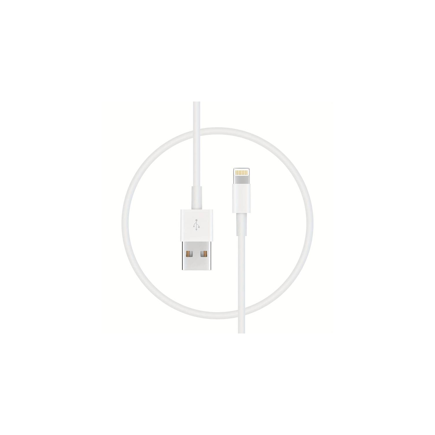 (Lot de 3) – [Certifié Apple MFi] Cordon de charge/chargeur iPhone/iPad de 3 mètres/10 pieds Câble éclaircissant vers USB Charge et synchronisation