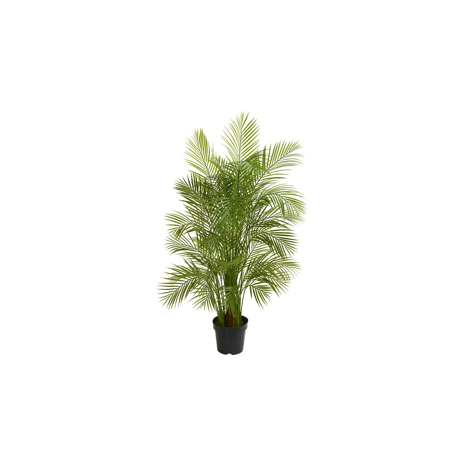 Nearly Natural 66" Gorgeous Areca Palm Artificial tree in Green/Black