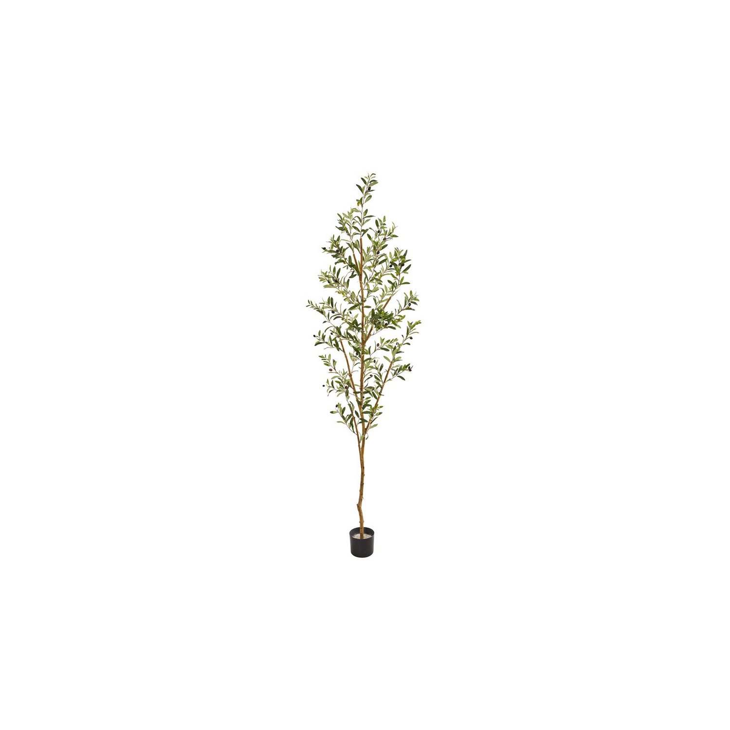 Nearly Natural 82" Olive Artificial Tree with Single Trunk Split in Green/Black